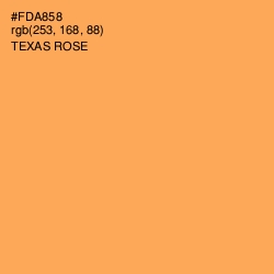 #FDA858 - Texas Rose Color Image